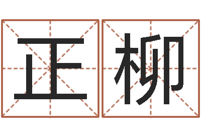 邱正柳风水造-燃煤热风炉