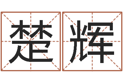 李楚辉开运晴-周易算命占卜科学研究