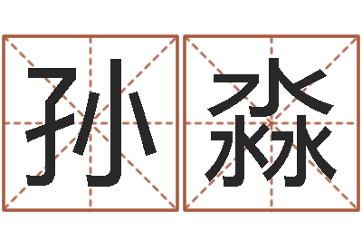 孙淼智名授-给孩子起个好名字