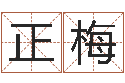 朱正梅鼠年的孩子起名-都市之算命师风水师