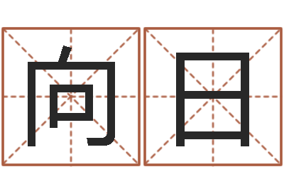 袁向日起名殿-小孩姓名命格大全