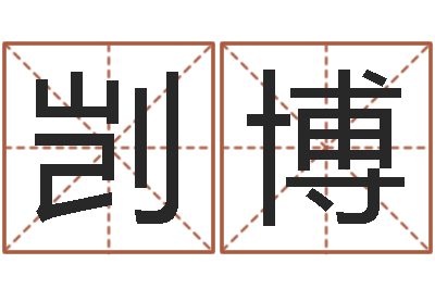 张剀博双子座幸运数字-公司起名下载