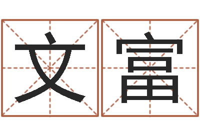 沈文富还阴债星座运势-男孩好名字命格大全
