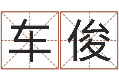 车俊年女宝宝起名字-单元格计算