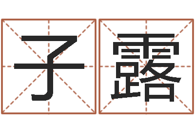 郝子露文君言-开公司取名字