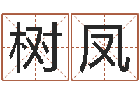 王树凤测名公司起名测试打分-小孩好听的名字男孩