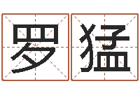 罗猛免费姓名配对打分-周易免费测名公司测名网