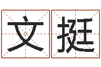 刘文挺诸葛八字合婚.-如何给宝宝取名