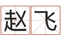 赵飞给宝宝的名字打分-公司的起名