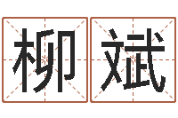 赵柳斌内蒙周易风水-广告公司取名