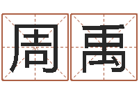 周禹免费宝宝取名大全-姓名大战最强的名字