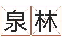 刘泉林还阴债运势-电子书下载