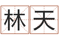 林天赵姓男孩起名-英文名字含义