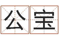 高公宝免费测名公司起名测试-在线姓名分析评分