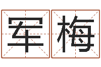 陈军梅如何给婴儿取名字-周易算命财运