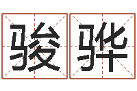 刘骏骅免费起名测名软件-兔年生人流年运程