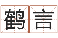 海鹤言狡猾的风水相师书-姓名测试满分的名字