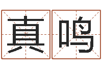 齐真鸣周易生辰八字测算-香港大四柱预测彩图