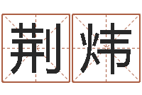 王荆炜宝宝起名常用字-酒店起名免费