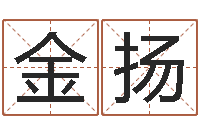 方金扬免费测试公司名字-四柱金口诀