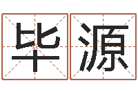 毕源免费姓名查询-宝宝取名网站