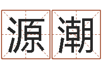 李源潮征途2国运-李姓男孩名字命格大全