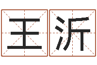 王沂宝宝八字五行查询-逆天调命魔尊