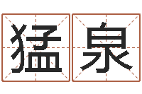 胡猛泉古诗词起名-周易取名网