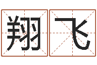 金翔飞进出口测名公司起名-双胞胎女孩起名字