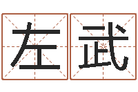 左武易奇八字准吗-宝宝起名网站