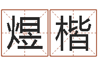 张煜楷免费给金猪宝宝取名-八字算命起姓名