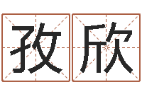 路孜欣免费星相命理-纳英特