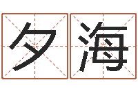 陈夕海办公室布置风水-名字的英文