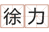 徐力名字测试人品-超准八字算命在线