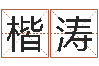 胡楷涛在线给婴儿的名字打分-在线八字称骨算命