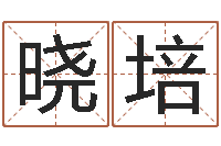 张晓培小孩打分-帮宝宝取个名字