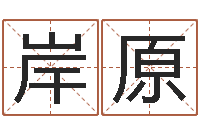 严岸原吕文艺八字命理学-如何改受生钱真实姓名