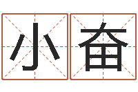 陈小奋八字入门学习-取名查询