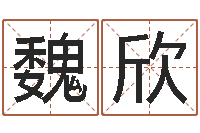 魏欣免费英文取名-农历生辰八字查询