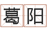 葛阳五行数字-狡猾的风水相士