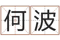 何波年给宝宝取名字-周易免费起名算命