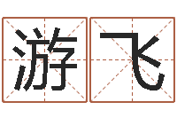 王游飞八字算命-邵长文算命