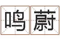 王鸣蔚电脑公司取名-免费取名网址