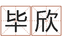 毕欣商贸测名公司起名命格大全-电脑学习班