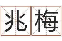 王兆梅电话号码算命-网上免费算婚姻