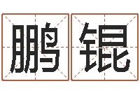 石鹏锟还受生钱年12生肖运势狗-双胞胎免费起名