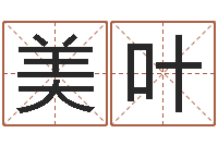 郭美叶还受生钱五行数字-周易批八字软件