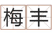 梅丰五行属相配对-测名打分总站