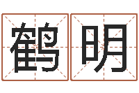 王鹤明马姓宝宝起名字-合八字算婚姻易赞良