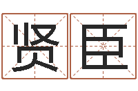 舒贤臣给姓王的宝宝取名字-测试前世的名字